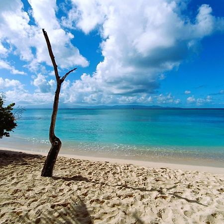 Kaz A Klemence Gite Creole Avec Piscine Et Table Dhotes A Anse Bertrand Экстерьер фото