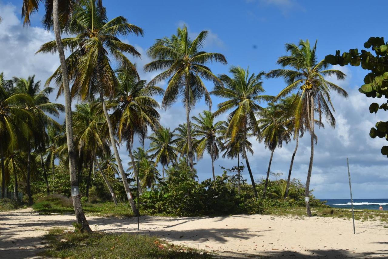 Kaz A Klemence Gite Creole Avec Piscine Et Table Dhotes A Anse Bertrand Экстерьер фото