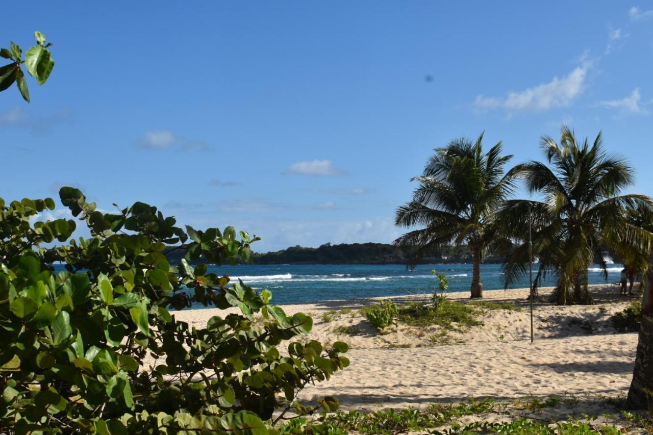 Kaz A Klemence Gite Creole Avec Piscine Et Table Dhotes A Anse Bertrand Экстерьер фото