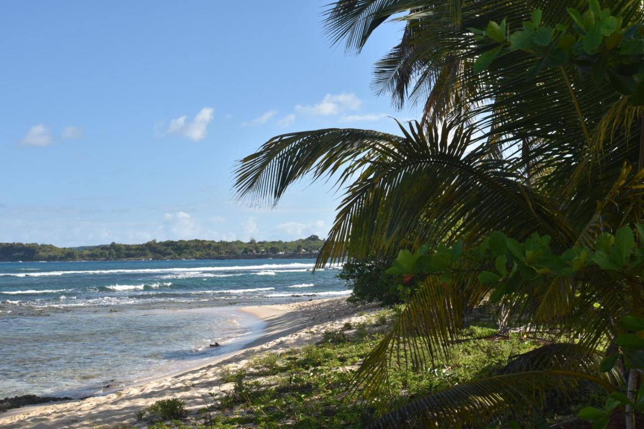 Kaz A Klemence Gite Creole Avec Piscine Et Table Dhotes A Anse Bertrand Экстерьер фото