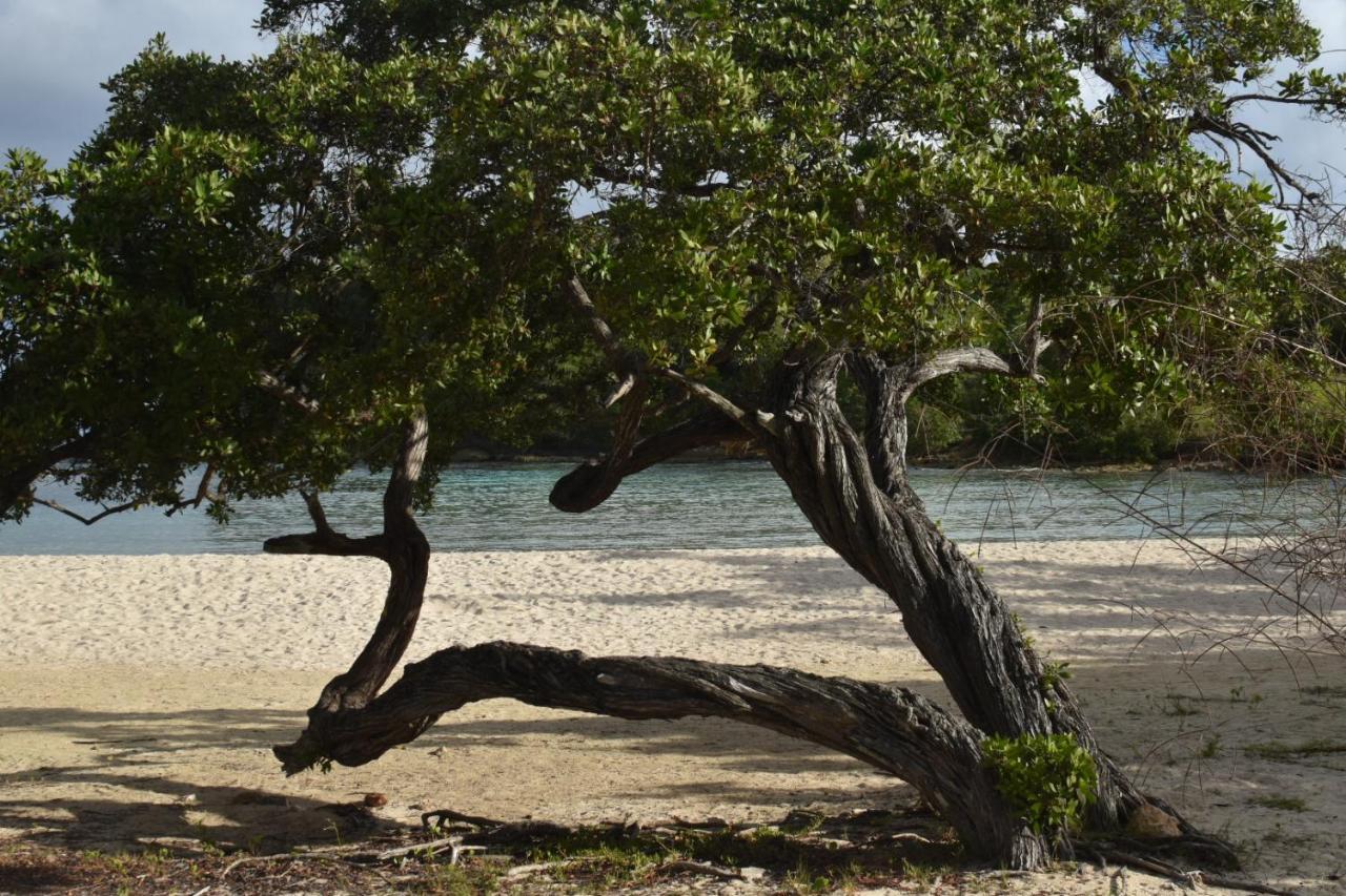 Kaz A Klemence Gite Creole Avec Piscine Et Table Dhotes A Anse Bertrand Экстерьер фото