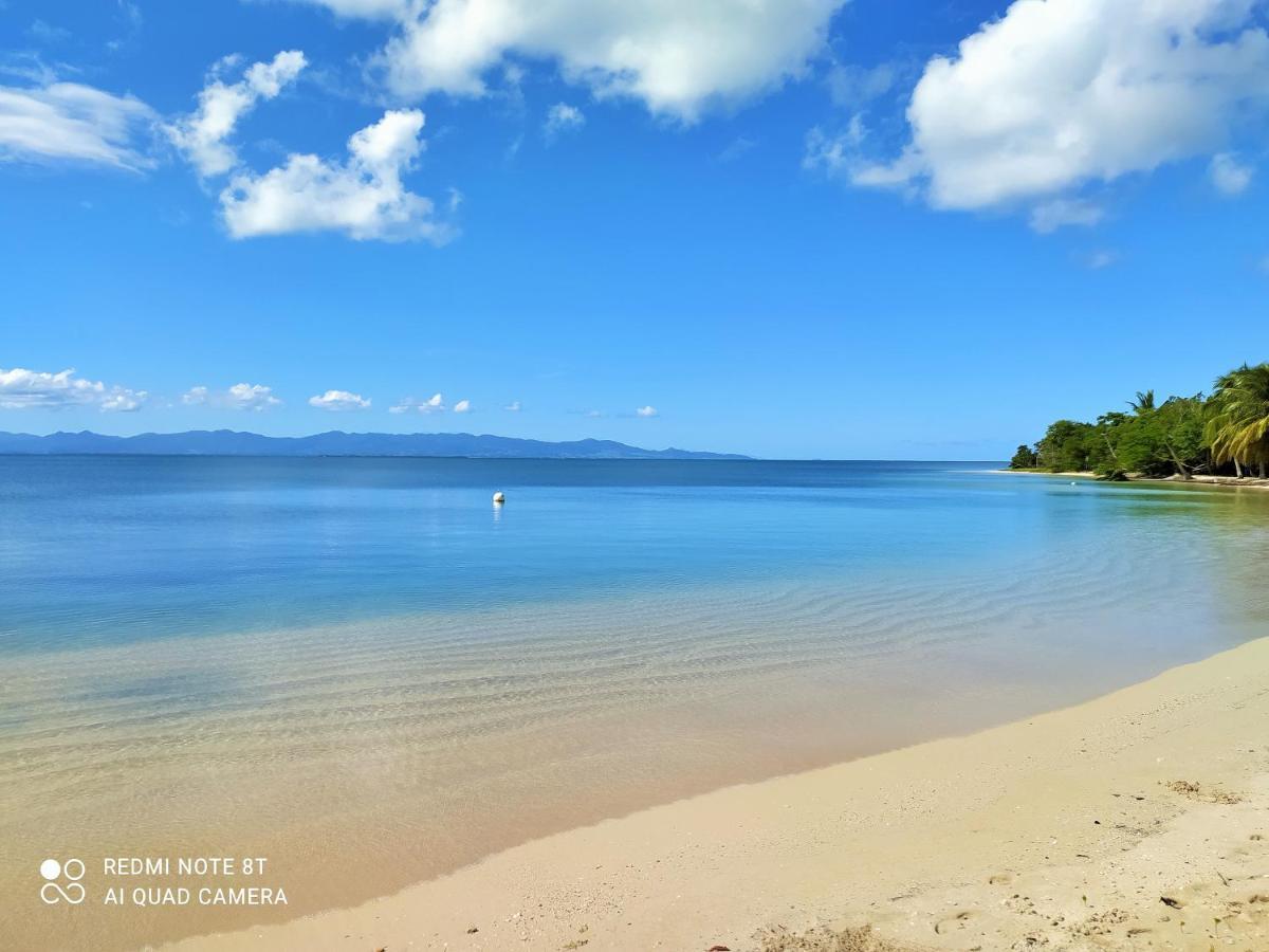 Kaz A Klemence Gite Creole Avec Piscine Et Table Dhotes A Anse Bertrand Экстерьер фото