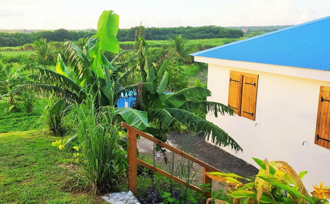 Kaz A Klemence Gite Creole Avec Piscine Et Table Dhotes A Anse Bertrand Экстерьер фото