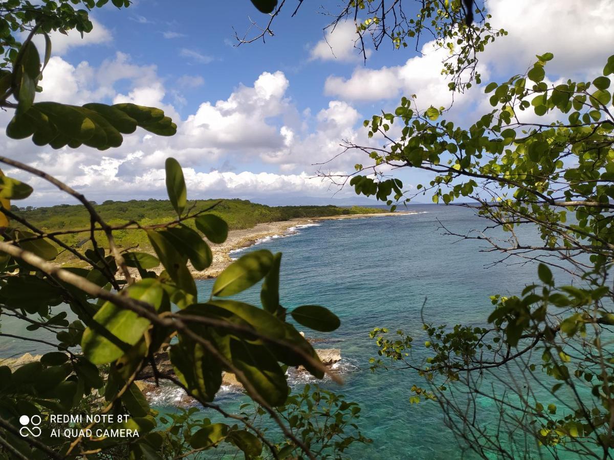 Kaz A Klemence Gite Creole Avec Piscine Et Table Dhotes A Anse Bertrand Экстерьер фото