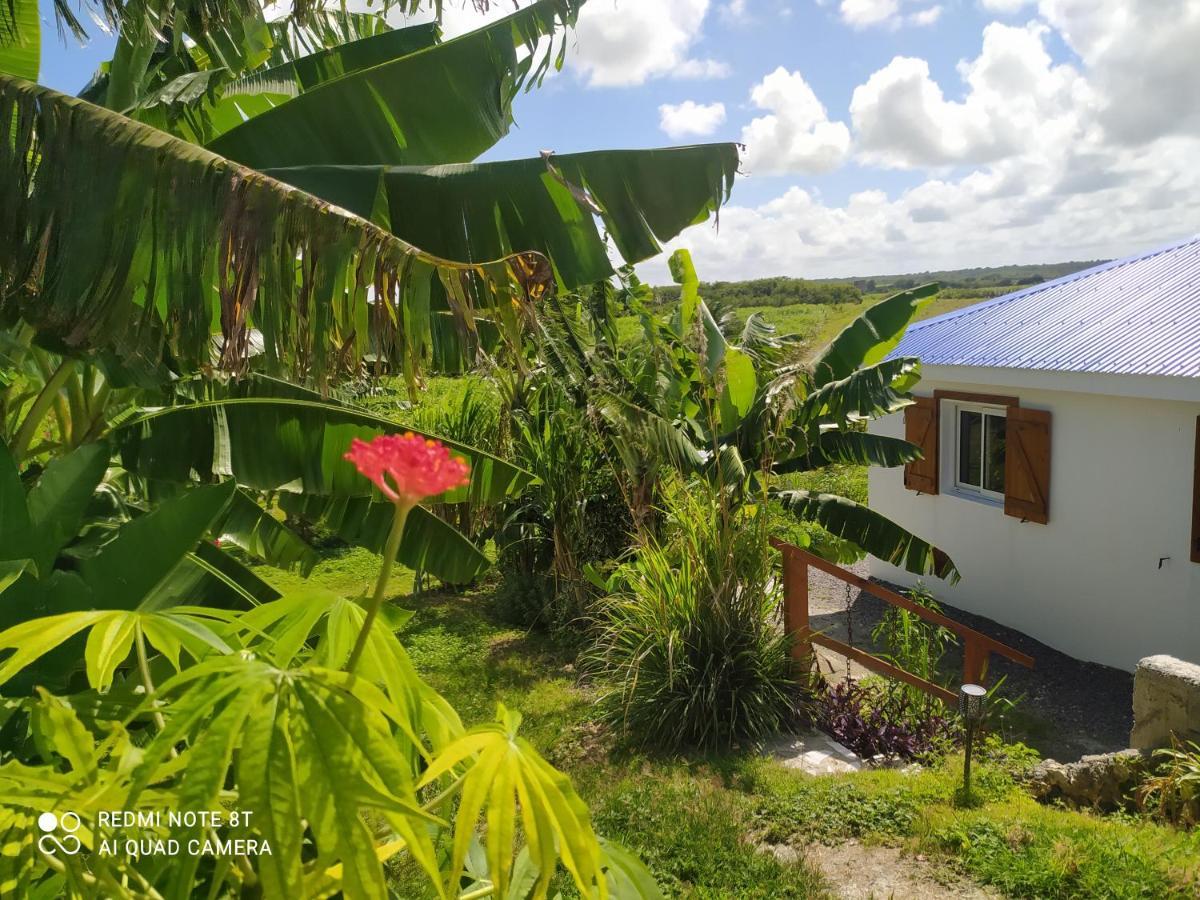 Kaz A Klemence Gite Creole Avec Piscine Et Table Dhotes A Anse Bertrand Экстерьер фото