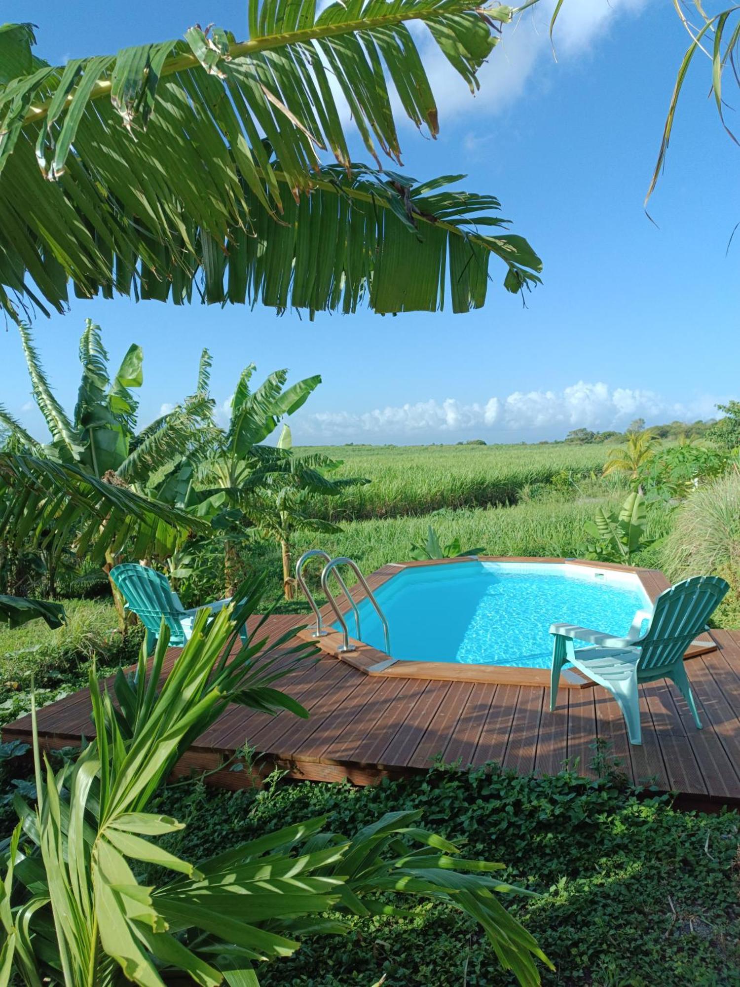 Kaz A Klemence Gite Creole Avec Piscine Et Table Dhotes A Anse Bertrand Экстерьер фото