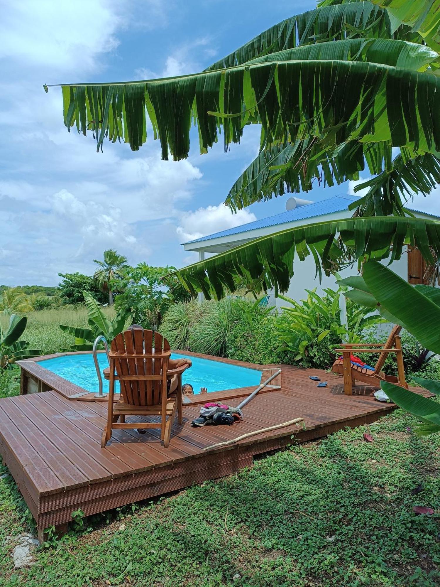 Kaz A Klemence Gite Creole Avec Piscine Et Table Dhotes A Anse Bertrand Экстерьер фото