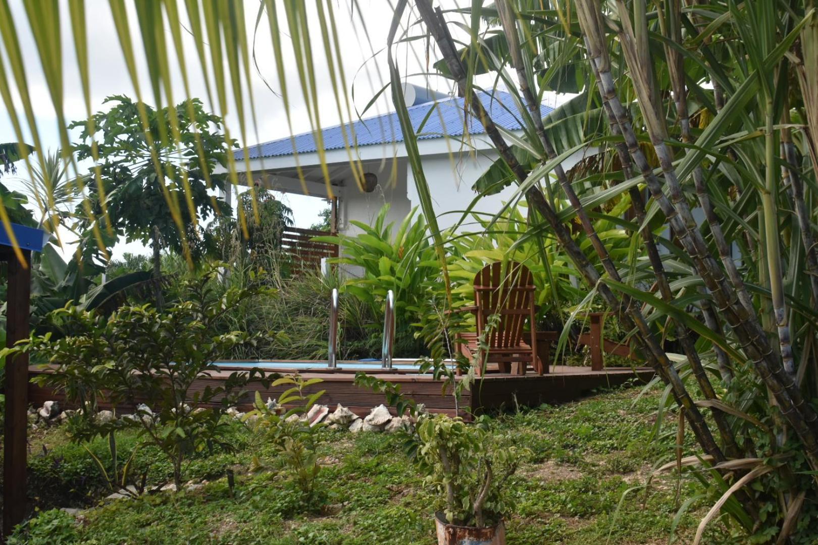 Kaz A Klemence Gite Creole Avec Piscine Et Table Dhotes A Anse Bertrand Экстерьер фото