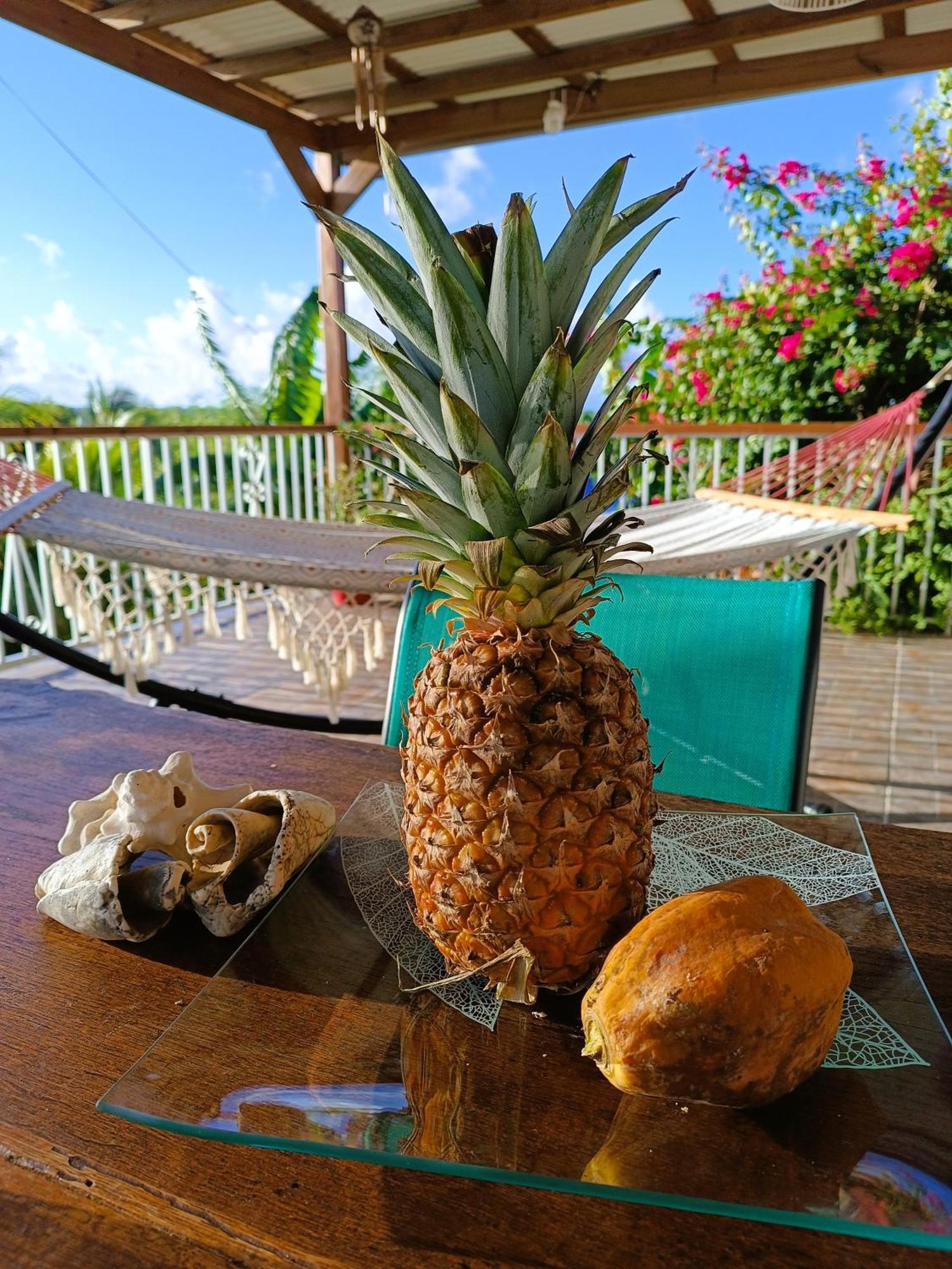 Kaz A Klemence Gite Creole Avec Piscine Et Table Dhotes A Anse Bertrand Экстерьер фото