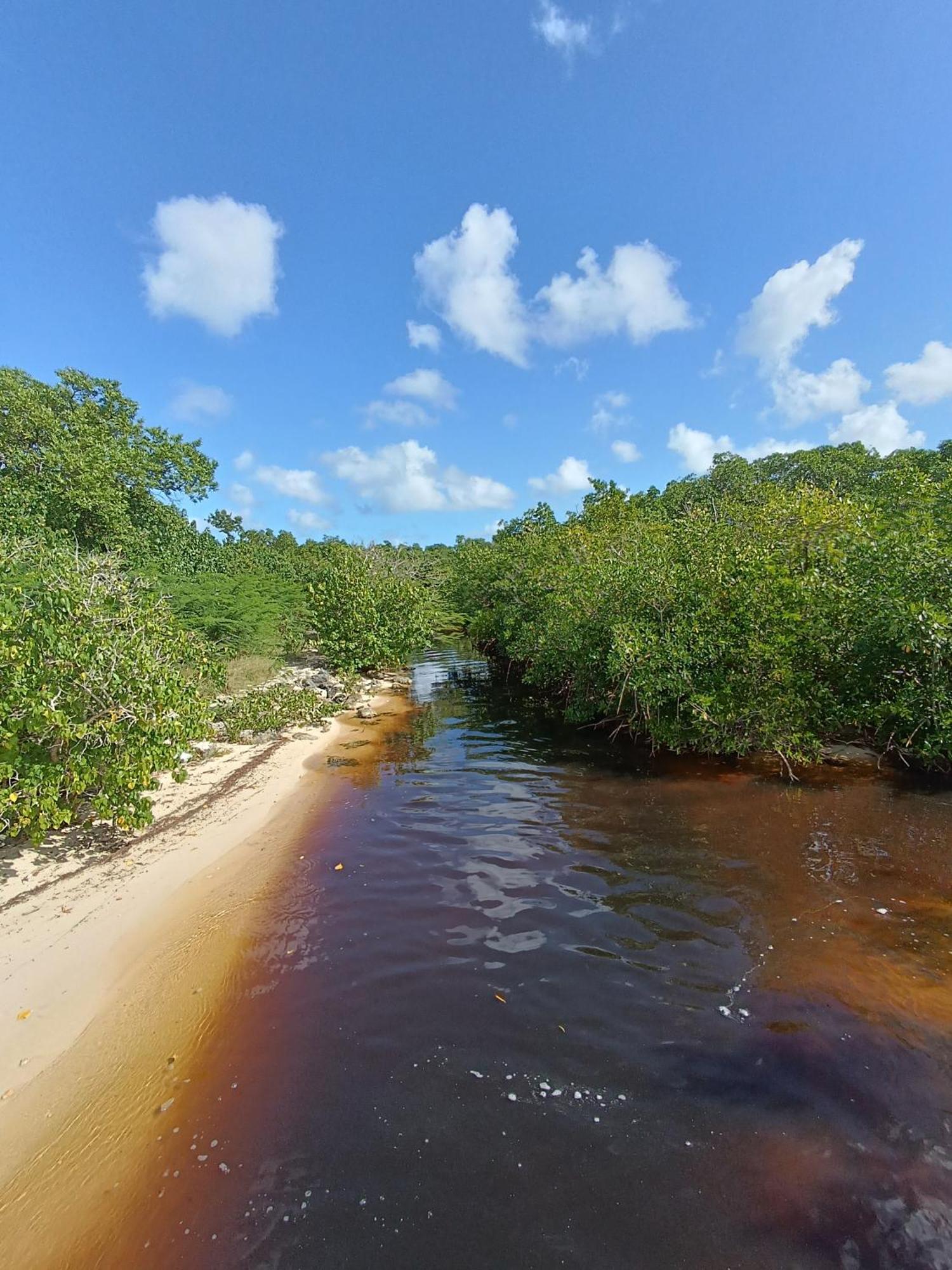 Kaz A Klemence Gite Creole Avec Piscine Et Table Dhotes A Anse Bertrand Экстерьер фото