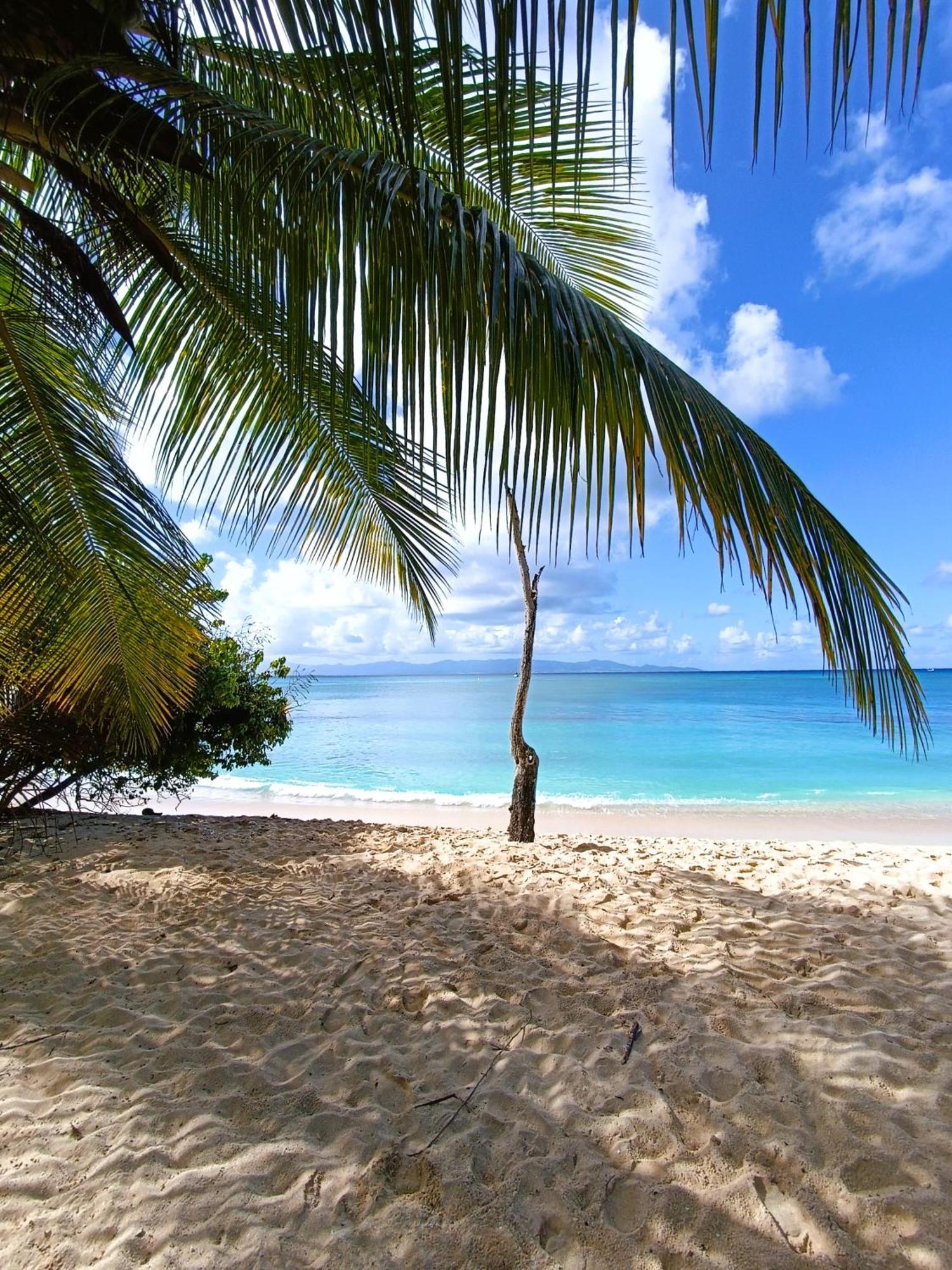 Kaz A Klemence Gite Creole Avec Piscine Et Table Dhotes A Anse Bertrand Экстерьер фото