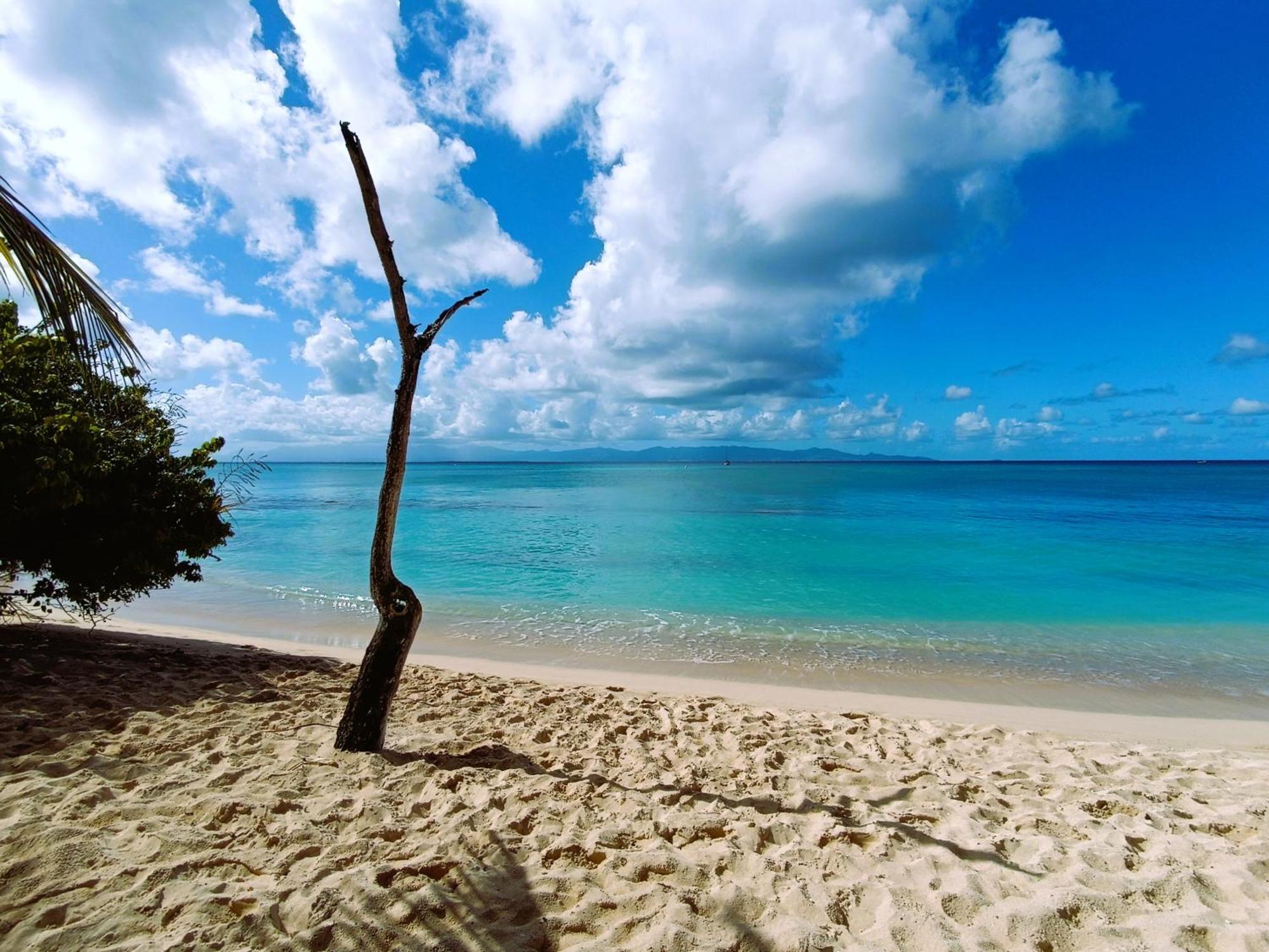 Kaz A Klemence Gite Creole Avec Piscine Et Table Dhotes A Anse Bertrand Экстерьер фото